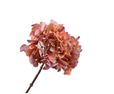 Hortensiasteel l68cm oranje/roze