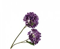 Hortensiatak l82cm creme/lavendel