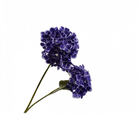 Hortensiatak l82cm paars/blauw