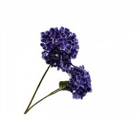 Hortensiatak l82cm paars/blauw