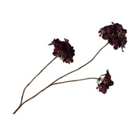 Hortensiatak l85cm bordeaux