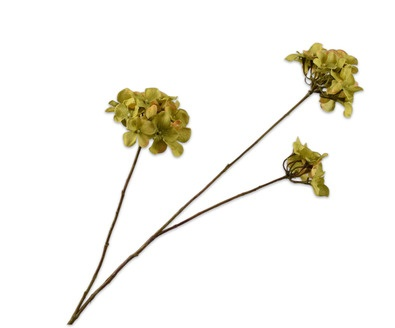 Hortensiatak l85cm groen