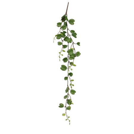 Hoya hang l97b30h5cm groen