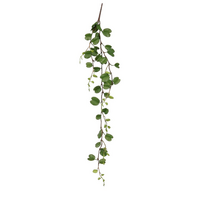 Hoya hang l97b30h5cm groen