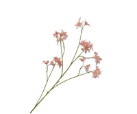 Hyacintsteel l111cm perzik