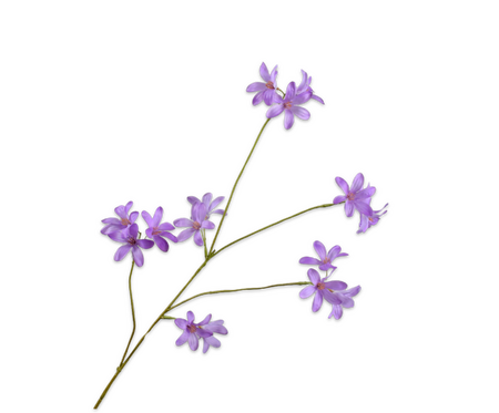 Hyacintsteel l79cm lavendel