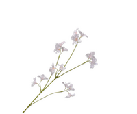 Hyacintsteel l79cm lichtroze