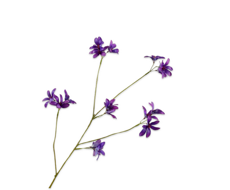 Hyacintsteel l79cm paars