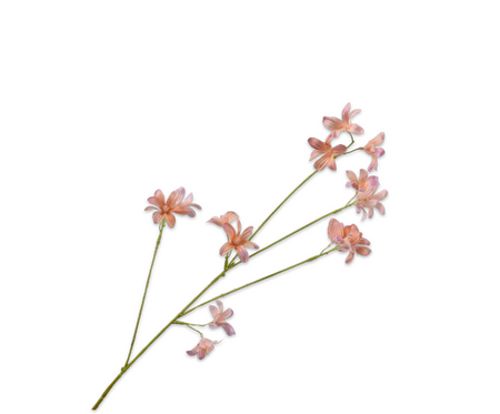 Hyacintsteel l79cm perzik