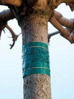 Insectenkleefband 1.5meter - afbeelding 2