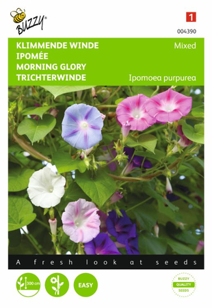 Ipomoea purpurea mix 2gram - afbeelding 1