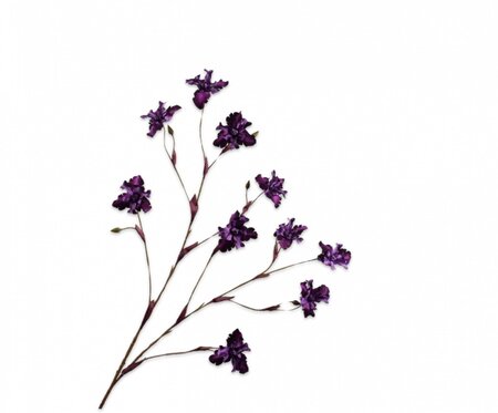 Iristak l125cm paars