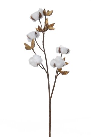 Katoentak l60cm bruin/wit (Zijde-tak)