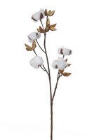 Katoentak l60cm bruin/wit (Zijde-tak)