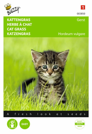 Kattengras 10g - afbeelding 1