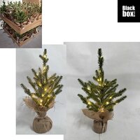 Kerstboom bo d10h43cm groen a2 pdq