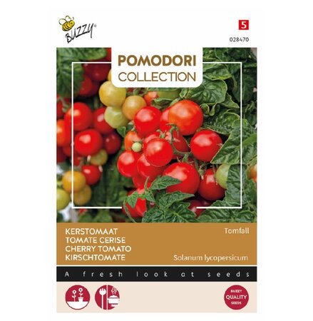 Kerstomaat tomfall 0.1g