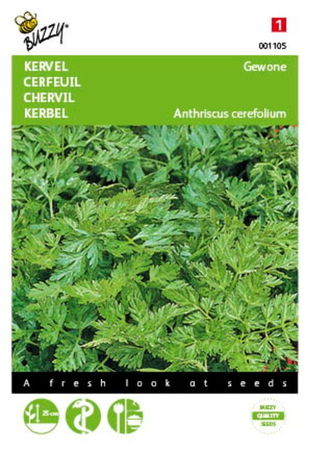 Kervel gewoon 5g - afbeelding 1