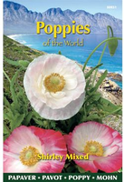 Klaproos poppies of the world mx 1gram - afbeelding 3