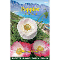 Klaproos poppies of the world mx 1gram - afbeelding 4