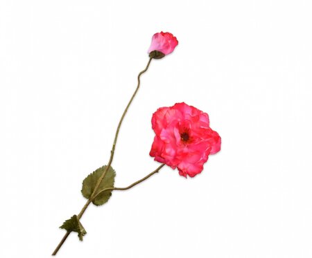 Klaproossteel l109cm beauty