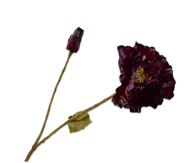 Klaproossteel l74cm bordeaux