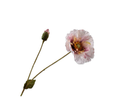 Klaproossteel l74cm mauve