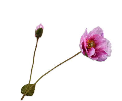 Klaproossteel l74cm roze