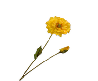 Klaproostak l74cm geel