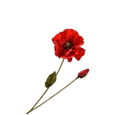 Klaproostak l74cm rood