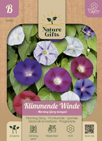 Klimmnde winde morning glory mengsl 20st