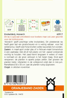 Knolselderij monarch 0.25g - afbeelding 2