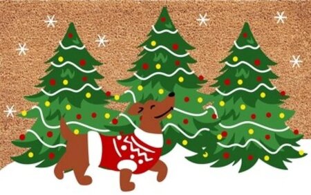 Kokosmat ruco christmas dog 39x59cm