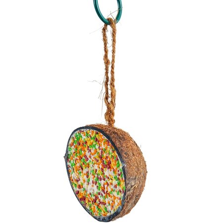 Kokosnoot feest - afbeelding 1