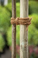 Kokostouw l15m - afbeelding 2