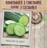 Komkommer - afbeelding 2