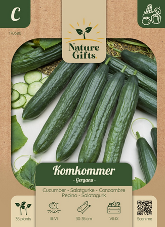 Komkommer gergana 35st