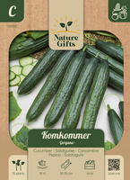 Komkommer gergana 35st