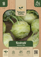 Koolrabi delikatess witte 100st