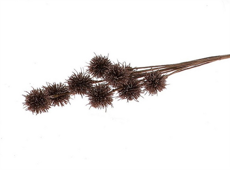 Koppen glitter l75b20h5cm bruin