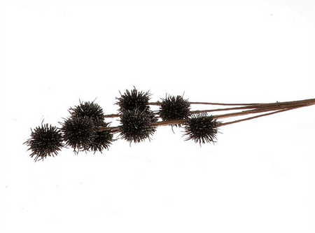 Koppen glitter l75b20h5cm zwart