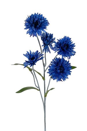 Korenbloem l60cm donker blauw