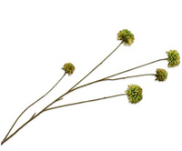 Korenbloemtak l91cm groen