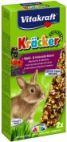 Kracker bosbes dwergkonijn 2in1