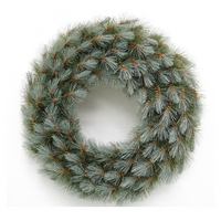 Krans wyoming d60h10 blauw