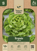 Kropsla attractie 300st