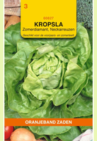 Kropsla zomerdiamant 2g