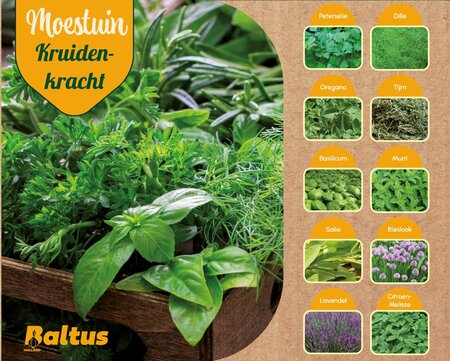 Kruiden kracht kweekkist
