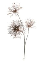 Krultak l950cm bruin