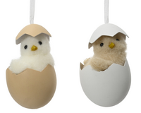 Kuiken foam l5b5h8cm a2